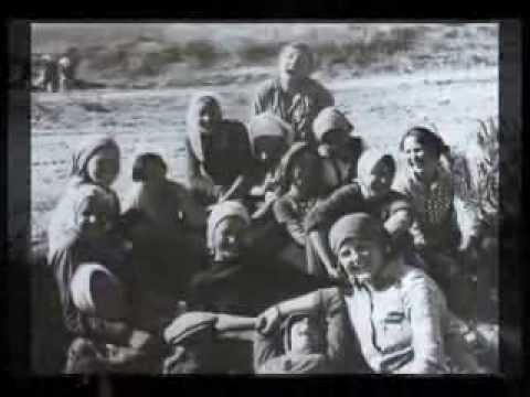 Видео: У Арыси реки