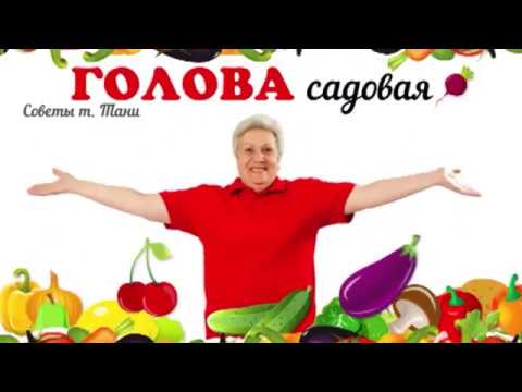 Видео: Голова садовая - Чем поливать свеклу?