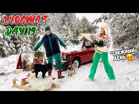 Видео: Vlogmas 19 УРАА НАША РОЖДЕСТВЕНСКАЯ ФОТОСЕССИЯ В НОВОГОДНЕМ ЛЕСУ 🎄✨