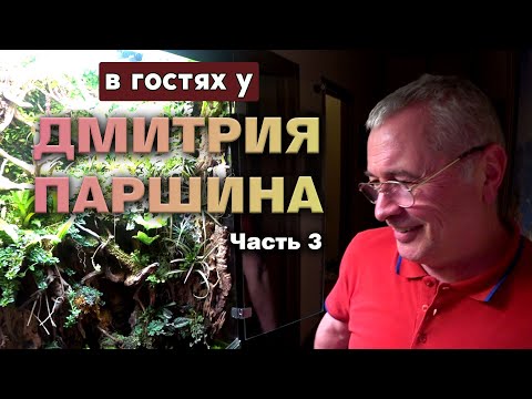 Видео: В гостях у Дмитрия Паршина. Часть 3. Еще 3 красивых палюдариума.