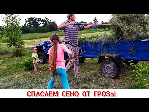 Видео: СПАСАЕМ СЕНО ОТ ГРОЗЫ, ИСПЫТАНИЕ НОВОГО ДАТЧИКА ТЕМПЕРАТУРЫ / ПЕРЕВОЗКА СЕНА МОТОБЛОКОМ КЕНТАВР