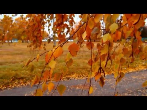 Видео: Спалені мости