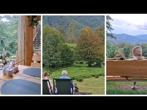Видео: ЕДЕМ В СОЛОХАУЛ/МНОГИЕ НЕ ЗНАЮТ ОБ ЭТОМ МЕСТЕ/МАМА КУПИЛА ЧАСЫ/ПП ВАФЛИ