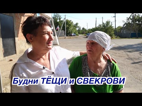 Видео: ❤️ Будни ТЁЩИ и СВЕКРОВИ ❤️ Смотрите программы Андрея Малахова!