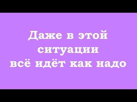 Видео: Даже в этой ситуации всё идёт как надо