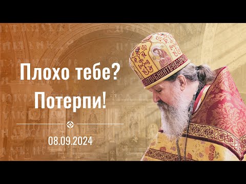 Видео: "Плохо тебе? Потерпи!". Проповедь о. Андрея Лемешонка 8 сентября 2024 г.