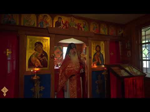 Видео: Отвечает ли сын за отца. Духовная наследственность или юридическая ответственность. В чем разница