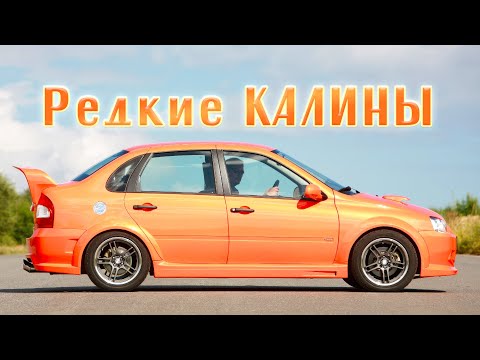 Видео: Самые РЕДКИЕ ЛАДЫ КАЛИНЫ