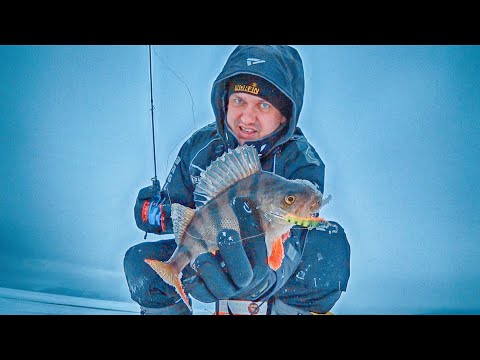 Видео: ГДЕ КЛЮЕТ ПОЛОСАТЫЙ?! ПОКАЖУ ГДЕ И ПОЧЕМУ! Ловля окуня на балансир. Зимняя рыбалка на окуня.