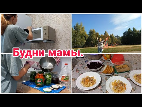 Видео: Будни мамы// Меню на день// Заготовки//