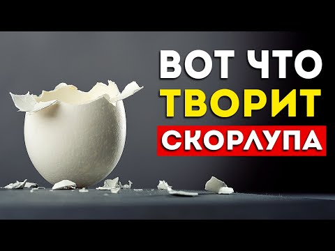 Видео: Что будет если есть яичную скорлупу каждый день? (Неожиданно)