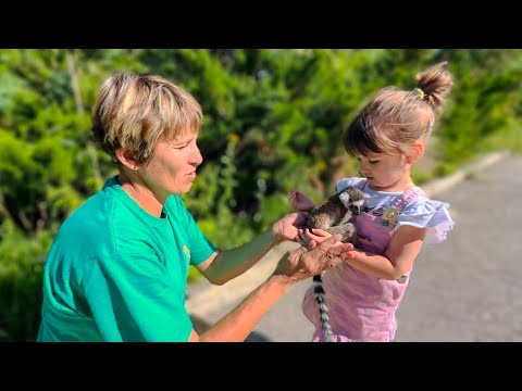 Видео: НЕОЖИДАННО! У Ангелины и Люси новый друг, малыша БРОСИЛА МАМА!