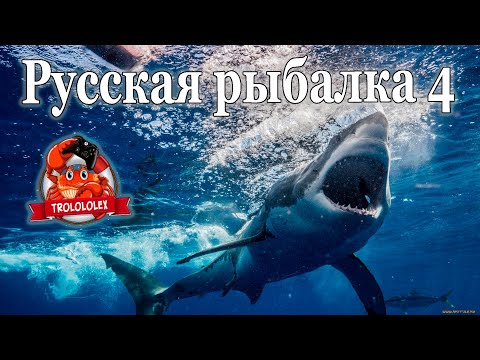 Видео: Русская рыбалка 4  ФАрм на Норвежском море