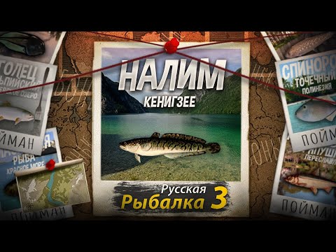 Видео: "Мутант" Налим. Кенигзее. Русская рыбалка 3