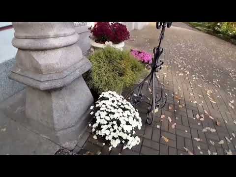 Видео: От монастырских ворот к внутреннему свету: моя история о питании тела и духа🌿#vlog #мысли #прогулка