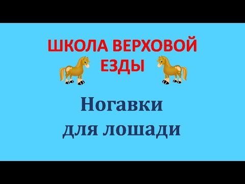 Видео: Ногавки для лошади