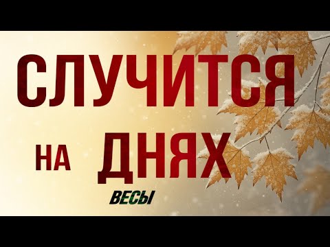 Видео: ✅ ВЕСЫ,♎️, это ♣️♦️СЛУЧИТСЯ на ❇️ ДНЯХ, таро, гороскоп, весы неделя таро, неделя 10-16.11.2025, 