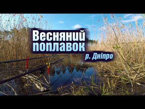 Видео: Рибалка в зарослях Дніпра на поплавок 2023. р.Дніпро. Рибалка в Черкасах.
