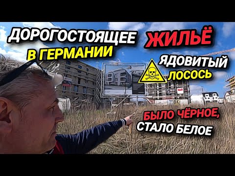 Видео: ЖИЛЬЁ В ГЕРМАНИИ. ЗАПРЕТ НА ТЕЛЕФОН. ЯДОВИТЫЙ ЛОСОСЬ. НАШЛА 15 ТЫСЯЧ.