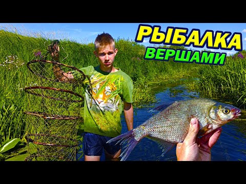 Видео: Рыбалка вершами на небольшой речке! Крупные лещи, караси и окуни!