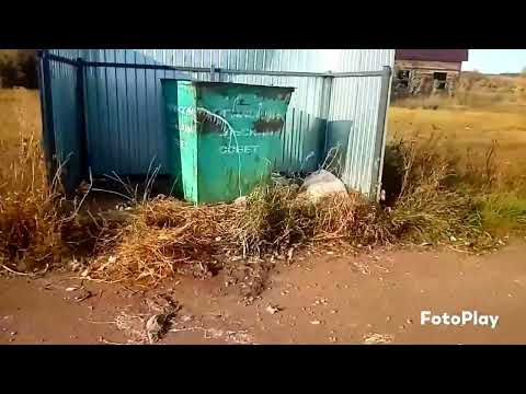 Видео: Берёзовка. Давлекановский район.