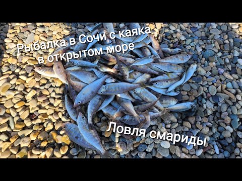 Видео: Рыбалка в Сочи с каяка в открытом море, зимняя рыбалка, как поймать окуня, смарида, спиннинг, эхолот