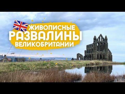 Видео: Аббатство Уитби, время рододендронов и улитки к ужину