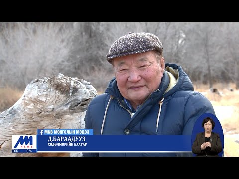Видео: Д.Бараадууз: Сэтгэл байвал ямар ч газарт мод ургуулж болно | MNB
