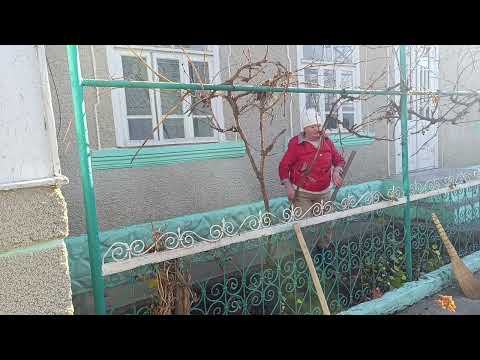 Видео: Начинаю по немного наводить порядки во дворе