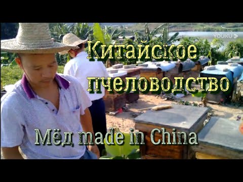 Видео: Китайское пчеловодство. Мёд made in China!