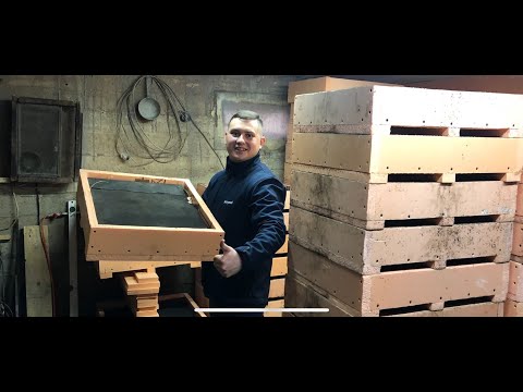 Видео: ДВА БИЗНЕСА В ОДНОМ ПОМЕЩЕНИИ. ДВЕ ФЕРМЫ, НО НЕ С ГРИБАМИ.