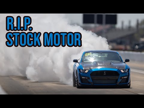 Видео: ПРОЩАЙ, СТАНДАРТНЫЙ МОТОР // Наш GT500 наконец-то насытился, и КОЙОТ ПОМЕНЯЛСЯ: Cobra разгоняется...