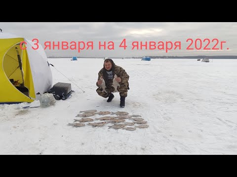 Видео: зимняя рыбалка на Иваньковском водохранилище 2022