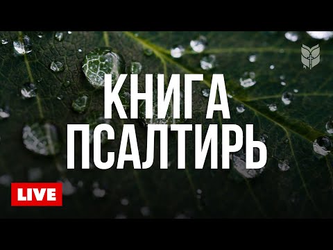 Видео: Библия 24/7 — Голос любви и истины 🔴 BibleVision Прямой Эфир
