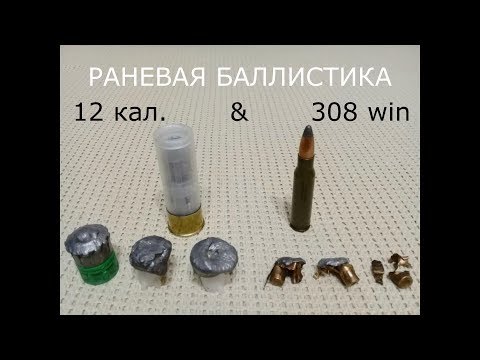 Видео: Раневая баллистика 12 калибр v.s. 308 Win и выстрелы по зверю