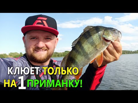 Видео: ХИТРЫЙ ОКУНЬ ЕСТ ТОЛЬКО ОДНУ ПРИМАНКУ! Рыбалка на окуня 2020. Ловля окуня на микроджиг с лодки