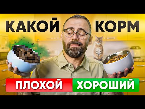 Видео: Будете в ШОКЕ! Главные отличия ХОРОШЕГО корма для кошек от ПЛОХОГО?
