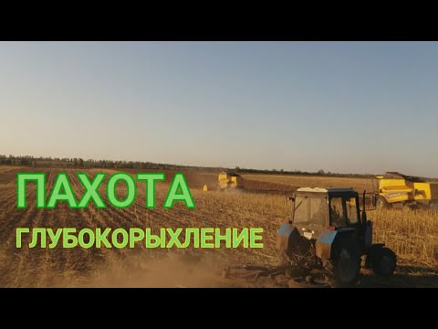 Видео: Что лучше ПАХОТА или ГЛУБОКОРЫХЛЕНИЕ под весенний посев подсолнуха???