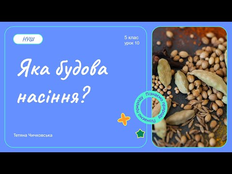Видео: Яка будова насіння?