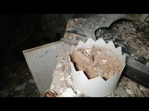 Видео: Дом в лесу. Часть 1