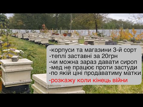 Видео: Пасіка в жовтні,плани на листопад