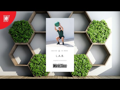 Видео: L.A.B. с Андреем Кухаренко  | 15 сентября 2022 | Онлайн-тренировки World Class