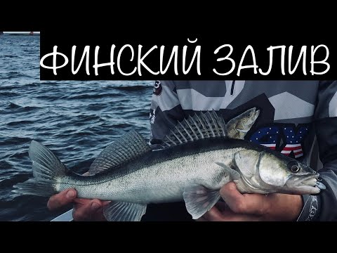 Видео: Рыбалка на Финском Заливе. Ловля Судака на Джиг. Осень 2019