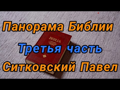 Видео: 03. ПЯТЫЙ ПЕРИОД.  Ситковский П.Н. 25 01 2024.