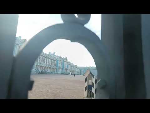 Видео: Лицейский садик