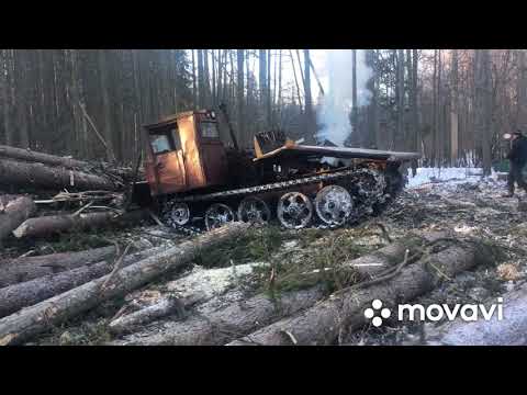 Видео: Обычный рабочий день в лесу. ТДТ-55, КАМАЗ ЛЕСОВОЗ.