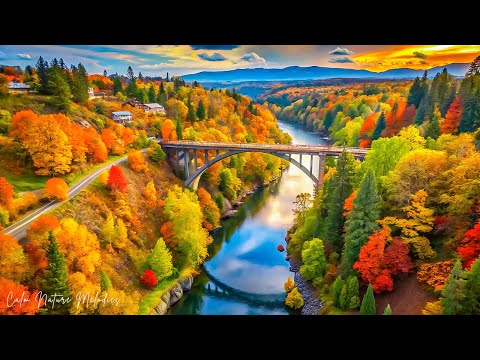 Видео: Красивая расслабляющая музыка 🍁 Успокаивающая осенняя музыка для снятия стресса, глубокого расслабл