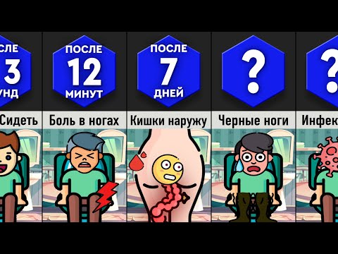 Видео: Что, Если Долго Сидеть На Унитазе?