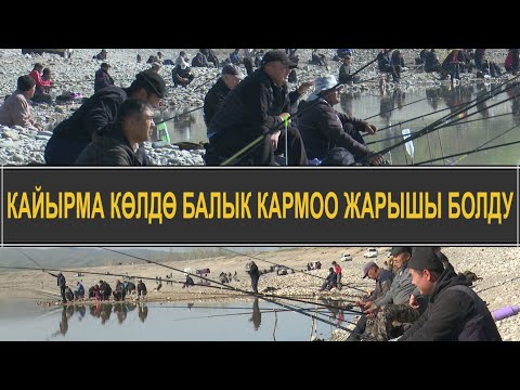 Видео: БАЗАР-КОРГОНДО БАЛЫК УУЛОО МЕЛДЕШИ ӨТТҮ