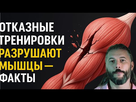 Видео: Отказные тренировки разрушают мышцы — факты от Апокрифа